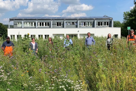 Blühwiesenzuwachs für Vlotho